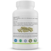 GOLDENACACIA HERRBALS Noni fruit 120 Capsule 1 no.s