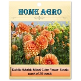 homeagro - Dahlia Mixed Flower ( 25 Seeds )