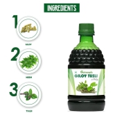 NUTROCOPIA Giloy Tulsi Juice | Fresh Tulsi and Giloy to Support Immune Health Pack of 1 of 400ML