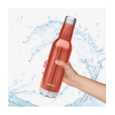 Milton Themosteel Pride 600 Bottle for (Hot & Cold) Beverage - Red - Rose Gold