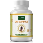 Shuddhi DM Capsules For Diabetes Care Capsule 60 gm Pack Of 1