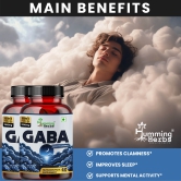 Humming Herbs GABA Calm Support - Natural Sleep Aid, Stress Relief, Mood Enhancer with L-Theanine, Valerian, Chamomile, Passionflower, Melatonin - Non Habit Forming - 60 Capsules - Pack of 2