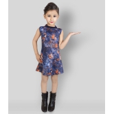 Addyvero - Multicolor Cotton Blend Girls A-line Dress ( Pack of 1 ) - None