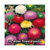 HL-COMBO-Sunflower, Dhalia, Aster, Marigold and FREE Lotus Seeds