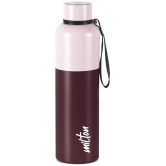 Milton Ancy 1000 Thermosteel Water Bottle, 1.05 Litre, Brown | 24 Hours Hot and Cold | Easy to Carry | Rust Proof | Tea | Coffee | Office| Gym | Home | Kitchen | Hiking | Trekking | Travel -