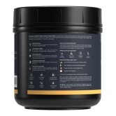 Nutrabay Gold 100% Whey Protein Concentrate with Digestive Enzymes - 25g Protein, 5.3g BCAA, 3.9g Glutamic Acid - 500g, Rich Chocolate Crème