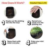 DIY Microgreens Kit