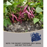 Recron Seeds - Creeper Bean Vegetable ( 15 Seeds )