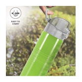 Milton Vogue 500 Stainless Steel Water Bottle, 490 ml, Parrot Green - Parrot Green