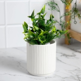 Anko White Scalloped Pot-Small Stoneware Ceramic, Ideal for Indoor Plants, Home Office Garden, 13.8cm H X 13.8cm Dia, 1 Piece.-Anko White Scalloped Pot-Small | Stoneware Ceramic | Indoor Planter