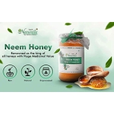 Farm Naturelle-Virgin 100% Pure Raw Natural Unprocessed Wildberry-Sidr & Neem Flower Forest Honey-(1 KG x 2) Glass Bottle