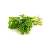 Green Spinach