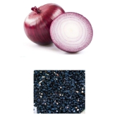 OLD STORE RED ONION 200 SEEDS PACK WITH INSTRUCTION MANUAL