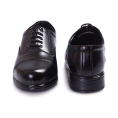 Katewalk Footwear - Black Mens Formal Shoes - None