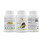 GOLDENACACIA HERRBALS Amla 60 Capsule 1 no.s