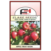 APPLE SEEDS - 10 Seeds Pack