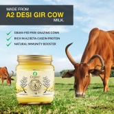 A2 Gir Cow Ghee, Gold Standard Cultured Ghee (500 ml)-500 ml (Glass Jar)