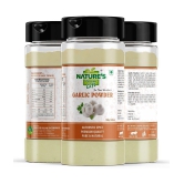 Natures Gift - 100 gm Ginger powder (Pack of 4)