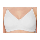 Madam - White Cotton Blend Lightly Padded Womens T-Shirt Bra ( Pack of 1 ) - None