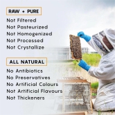 Raw Acacia Honey (500 g) - NMR Tested, Kashmir Valley-500 g (Glass Jar)