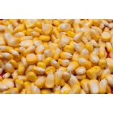 Maize | Popping Kernels