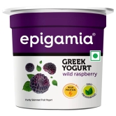 Epigamia Wild Rasberry Greek Yogurt, 90 Gm