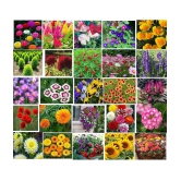 CLASSIC GREEN EARTH - Flower Seeds ( 25 FLOWER COMBO 2000 SEEDS HYBRID )