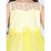 Toy Balloon Kids Yellow Net Girls Frock ( Pack of 1 ) - None