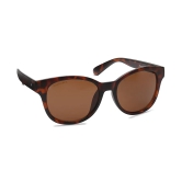 Brown Square Sunglasses for Men