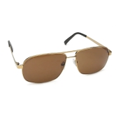 Brown Navigator Sunglasses for Men