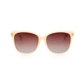 Brown Wayfarer Sunglasses for Women