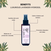 Luxurious Lavender Hydrosol