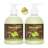 Kayamaya Amla Shampoo for Hair Growth & Root Strengthening Shampoo 600 mL Pack of 2