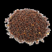 Mustard Seed (Rai)-250 gms