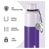 Milton Ancy 1000 Thermosteel Water Bottle, 1.05 Litre, Violet | 24 Hours Hot and Cold | Easy to Carry | Rust Proof | Tea | Coffee | Office| Gym | Home | Kitchen | Hiking | Trekking | Travel 