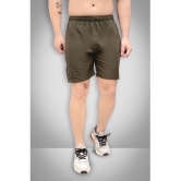 Forbro - Olive Polyester Men's Running Shorts ( Pack of 1 ) - None