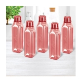 Milton Prime 1000 Pet Water Bottle, Set of 5, 1 Litre Each, Burgundy | BPA Free | 100% Leak Proof | Office Bottle | Gym Bottle | Home | Kitchen | Travel Bottle | Hiking | Treking Bottle - Bu