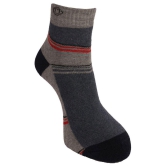 Dollar Socks Cotton Casual Ankle Length Socks Pack of 3 - Multi