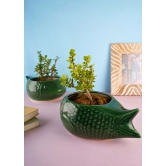 Green Catfish Planter