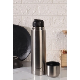 Femora Bullet Thermosteel Stainless Steel Water Bottle Flask Bottle, Hot and Cold, 750ml, 1 Piece, Silver