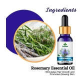 Sonavi Rosemary Stress Relief Essential Oil Green With Dropper 60 mL ( Pack of 2 )