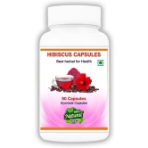 BioMed Hibiscus Capsule 90 no.s Pack Of 1