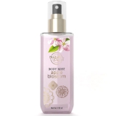 Body Cupid - BOCP_BM100_AB Body Mist For Women 100 ( Pack of 1 )