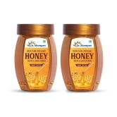 Dr. Morepen 100% Natural & Pure Honey NMR Tested 2 x 250 g Pack of 2