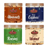 YUM YUM Dry Fruits Combo Pack (Almonds 200g, Cashew 200g, Raisins 200g, Walnut Kernels 175g)