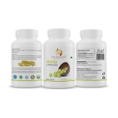 GOLDENACACIA HERRBALS Amla 90 Capsule 1 no.s