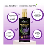 Phillauri Anti Hair Fall Rosemary Oil 100 ml ( Pack of 1 )