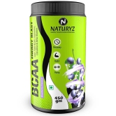 NATURYZ BCAA Energy Blast Pre Intra Post Workout For Recovery & Energy - 450g(BlueBerry Flavour)