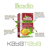 Kayamaya 100% Organic Indigo Powder Herbal Henna Mehendi Powder Organic Henna 100 g Pack of 2