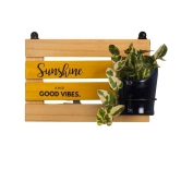 Sunshine Board with Antiquity Planter